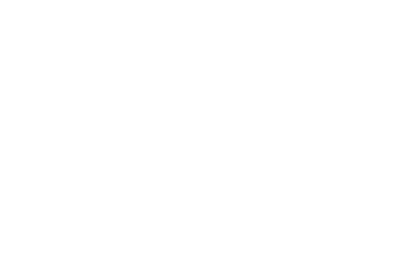 Rolling Stone Logo