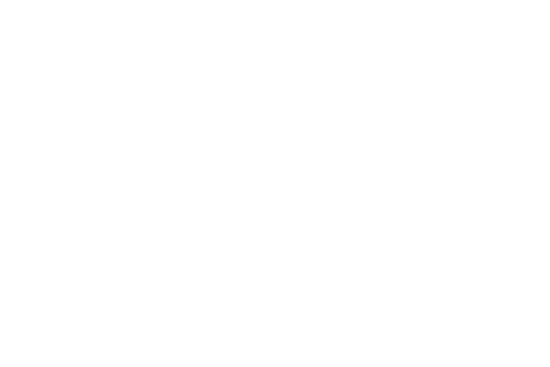 The SUN Logo