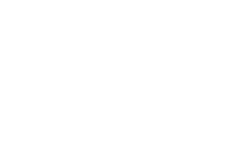 The Washington Post Logo